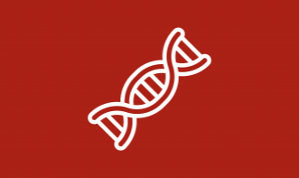 Dna Técnico dos componentes IRB Automotive