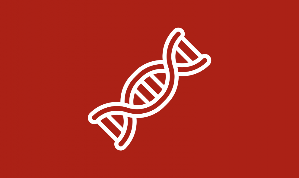 Dna Técnico dos componentes IRB Automotive