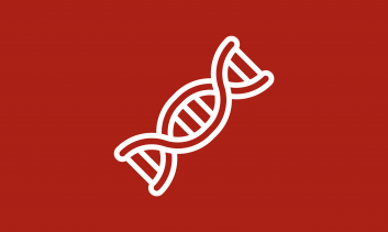 Dna Técnico dos componentes IRB Automotive