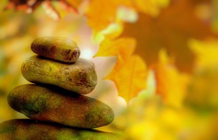 1º año - Formación de Psicoterapia Ontológica - 2026