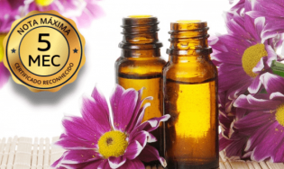 Curso Terapeuta Floral