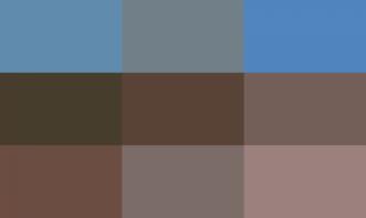 Pedro Henrique Gobbi Machado