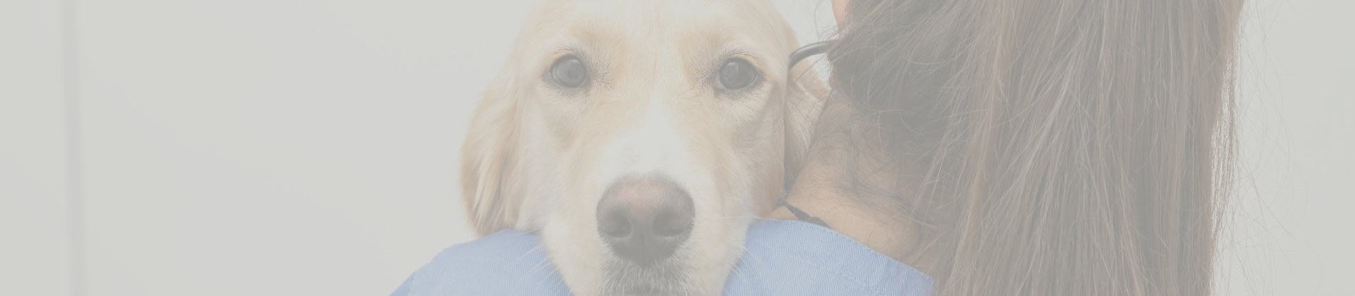 Bases de Farmacologia e Toxicologia Veterinária