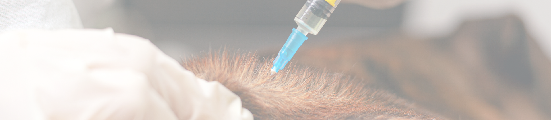 Procedimentos Laboratoriais e Biossegurança para as Áreas de Veterinária e Análises Clínicas