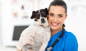 Ética Profissional e Bem-Estar Animal