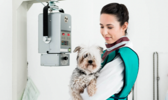 Radiologia Veterinária