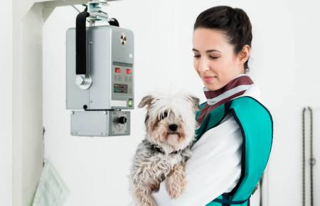 Radiologia Veterinária