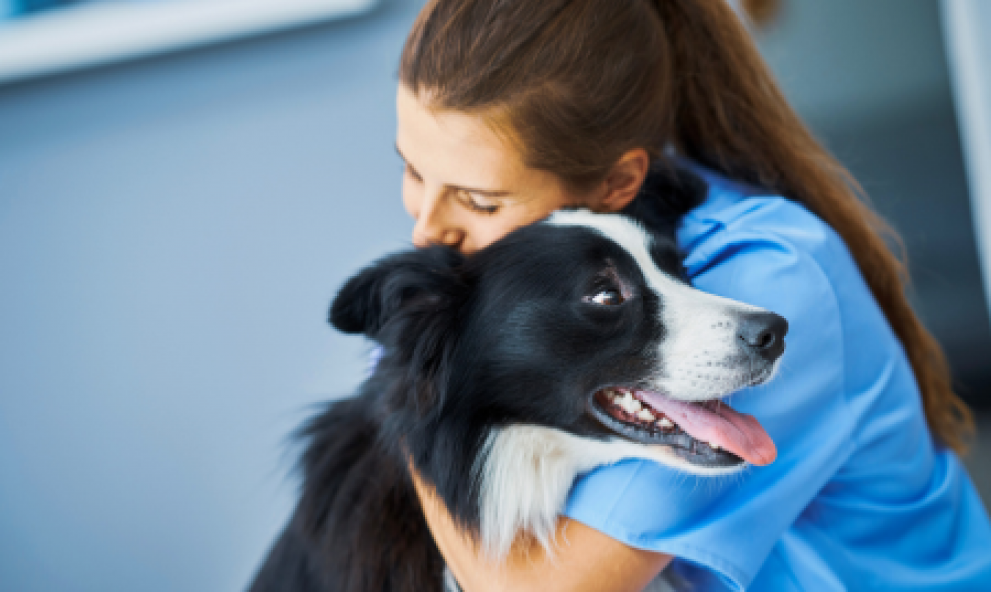 Radiologia Odontológica e Veterinária