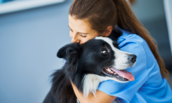 Radiologia Odontológica e Veterinária