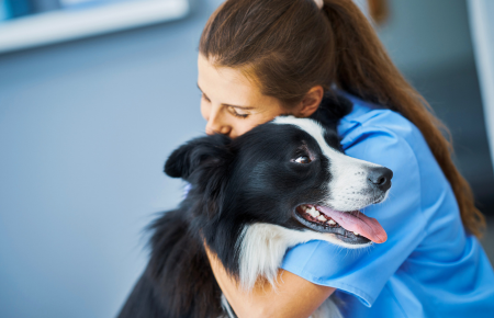 Radiologia Odontológica e Veterinária