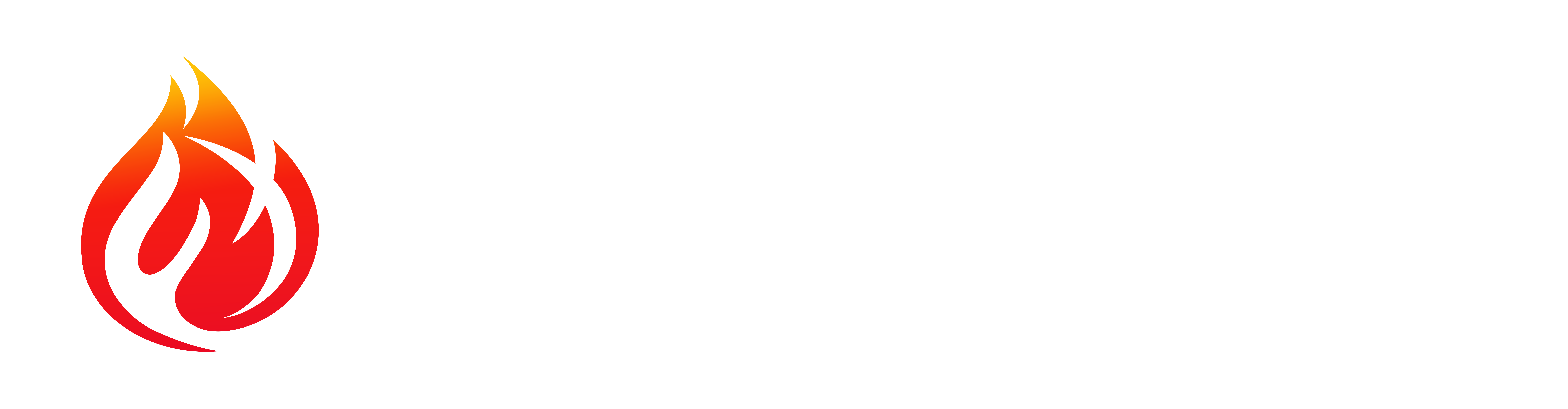 Fire Treinamentos