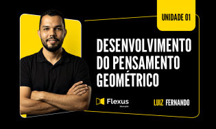 Desenvolvimento do pensamento geométrico