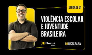 Violência escolar e juventude brasileira