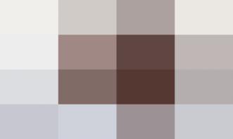 Alex Sander Santos da Silva