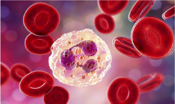 Diferencial e alterações em Hematologia (ANALISTAS) - 2026