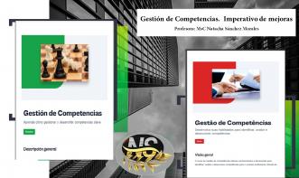 Manual Introductorio de Gestion por Competencias