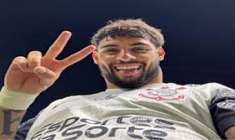 PEDRO SCHNEIDER BRAZ 