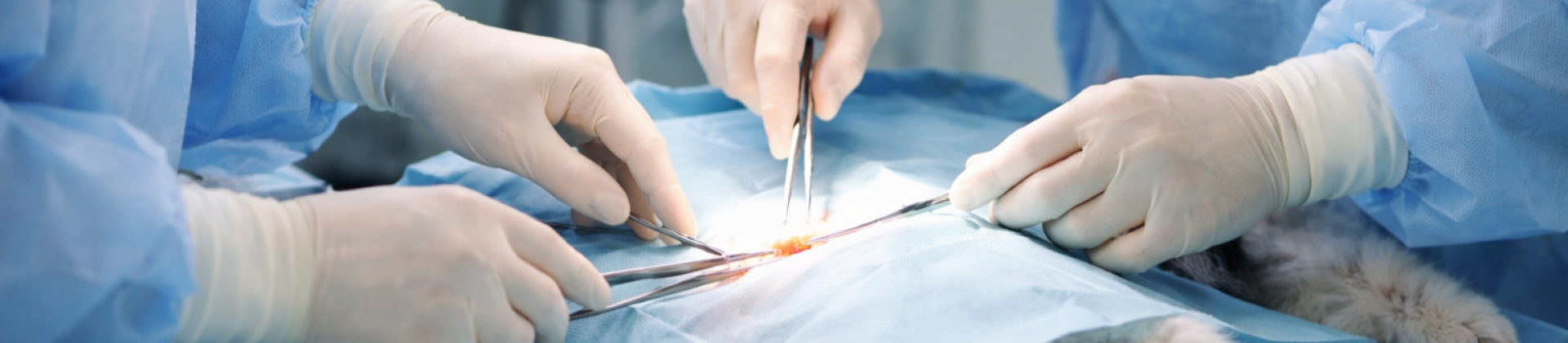 Preparatório FOX Cirurgia e Anestesia 2026