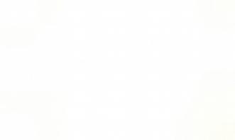 Matheus Figueiredo de Abreu