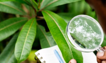 AUDITORIA E PERÍCIA AMBIENTAL