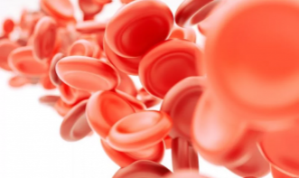 HEMATOLOGIA E IMUNO-HEMATOLOGIA