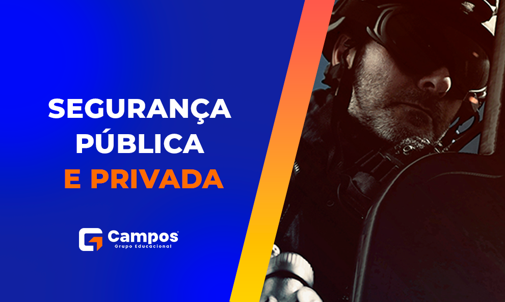 SEGURANÇA PÚBLICA E PRIVADA