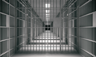 GESTÃO DE SISTEMAS PRISIONAIS