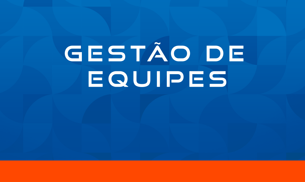 GESTÃO DE EQUIPES