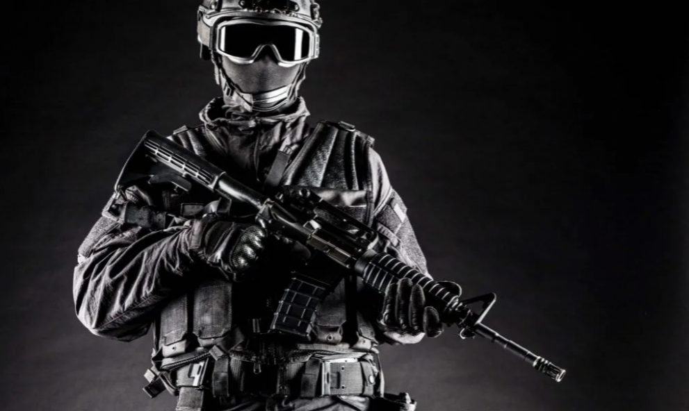 SEGURANÇA PÚBLICA E PRIVADA