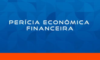 PERÍCIA ECONÔMICA FINANCEIRA