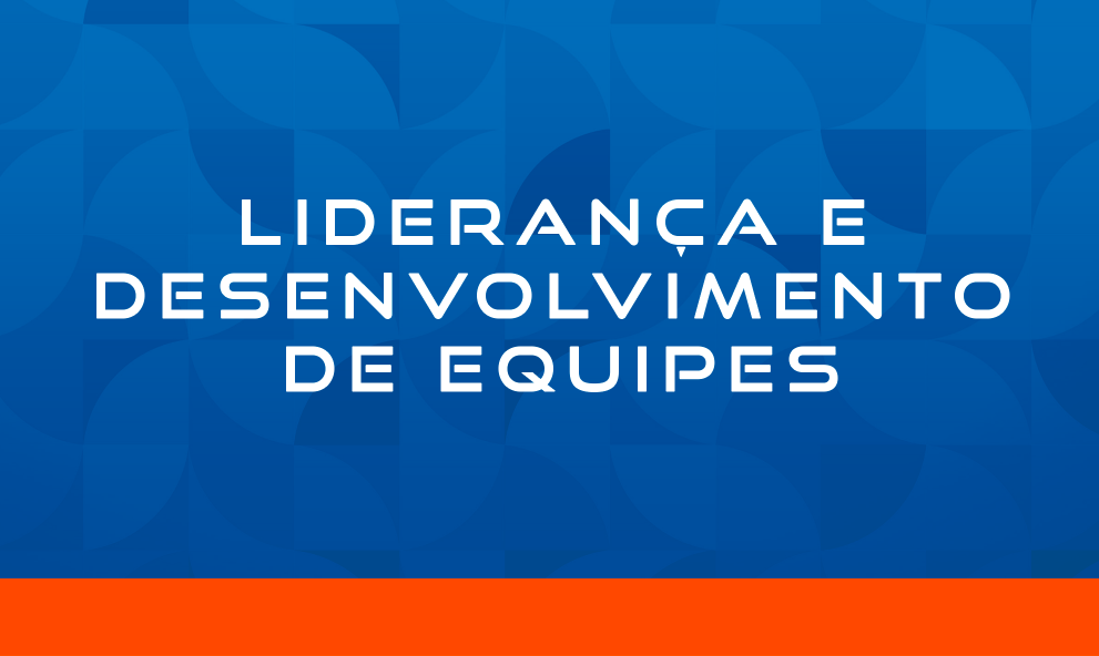LIDERANÇA E DESENVOLVIMENTO DE EQUIPES