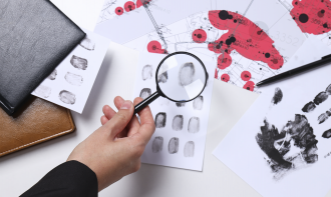 CURSO DE CAPACITAÇÃO EAD EM CRIMINOLOGIA - 180H