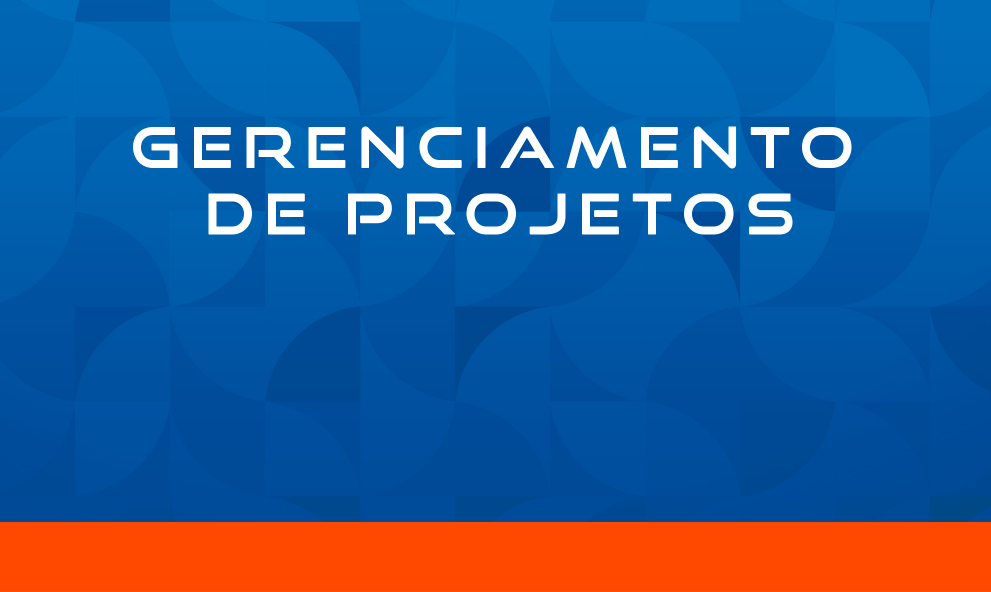 GERENCIAMENTO DE PROJETOS