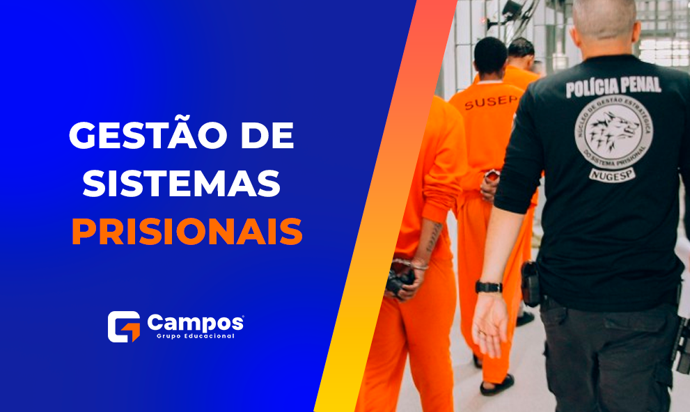 GESTÃO DE SISTEMAS PRISIONAIS