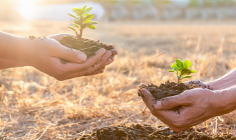 CURSO DE CAPACITAÇÃO EAD EM PROTEÇÃO AO MEIO AMBIENTE  - 180H