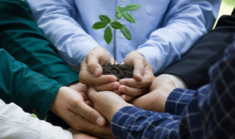 SUSTENTABILIDADE, RESPONSABILIDADE SOCIAL E DIREITOS HUMANOS