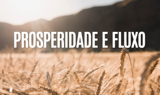 Prosperidade e fluxo