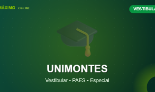 UNIMONTES