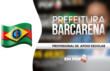 PROFISSIONAL DE APOIO ESCOLAR