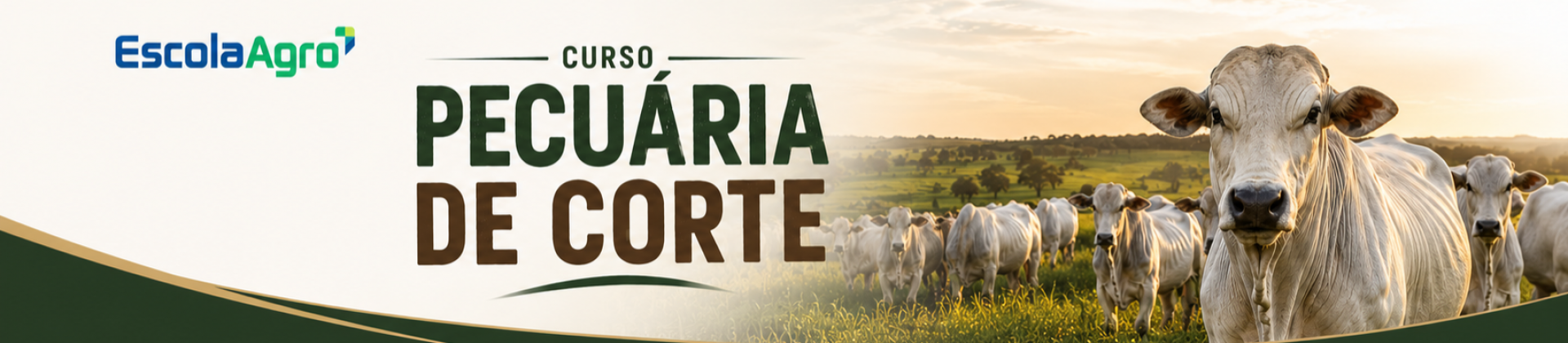 Pecuária de corte - Completo