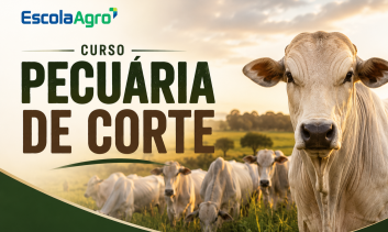 Pecuária de corte - Completo