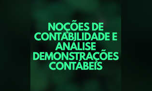 Noções de Contabilidade e Análise Demonstrações Contabéis