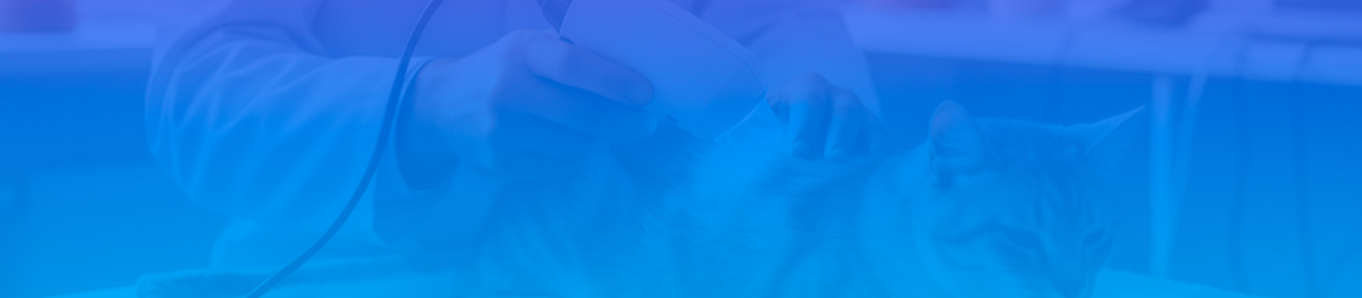 Fototerapia e cromoterapia no controle da dor