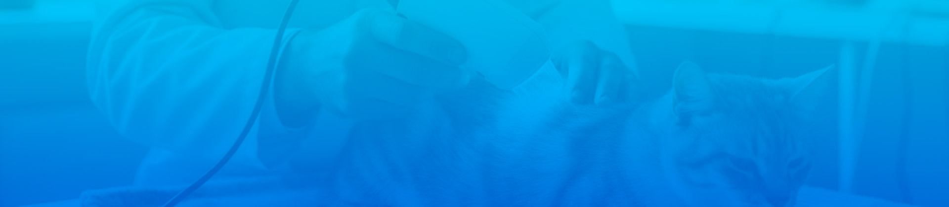 Fototerapia e cromoterapia no controle da dor