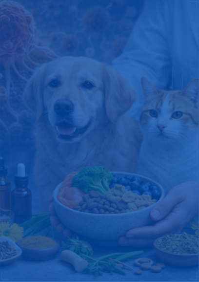 Nutrição Funcional e Fitoterapia Chinesa no Tratamento Oncológico de Cães e Gatos