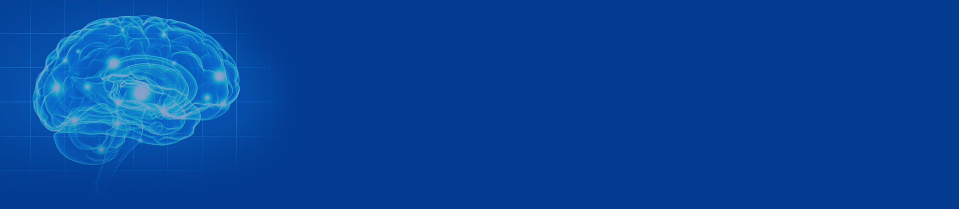 Neurobiologia da Decisão