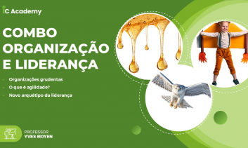 COMBO | Organização e Liderança