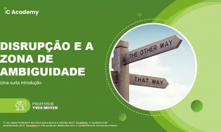 DISRUPÇÃO E A ZONA DE AMBIGUIDADE