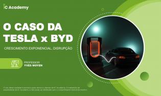 011 - TESLA X BYD