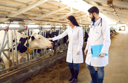 NOÇÕES DE REPRODUÇÃO ANIMAL